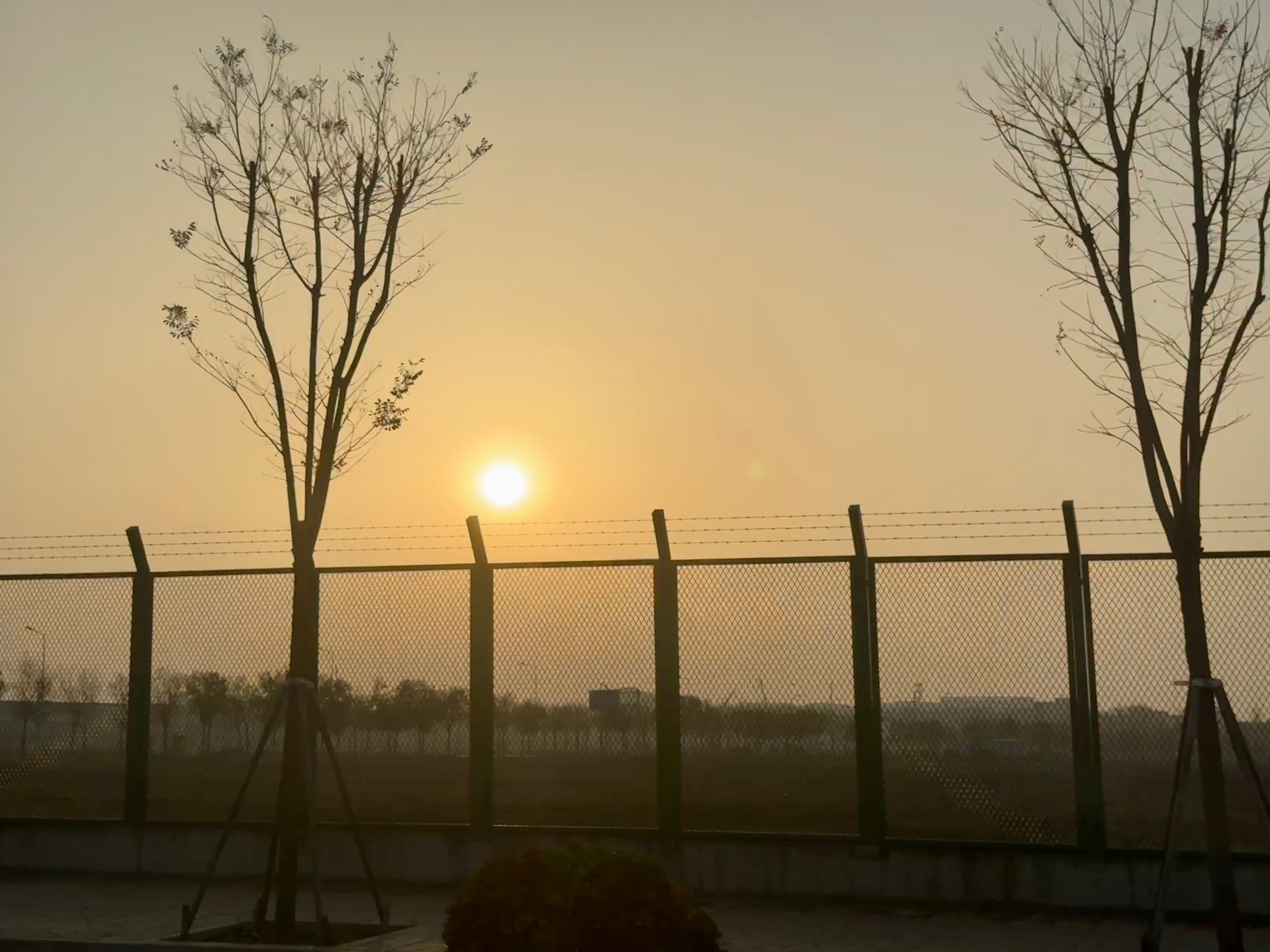 像夕阳也像日出～北京的初冬色彩  ​​​