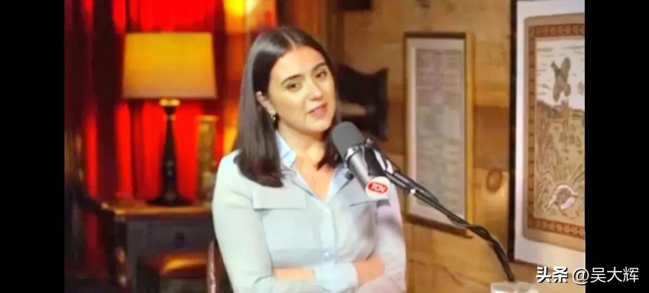 泽连斯基icon前新闻发言人尤利娅·门德尔：“如果我们继续等待完美的谈判条件，那