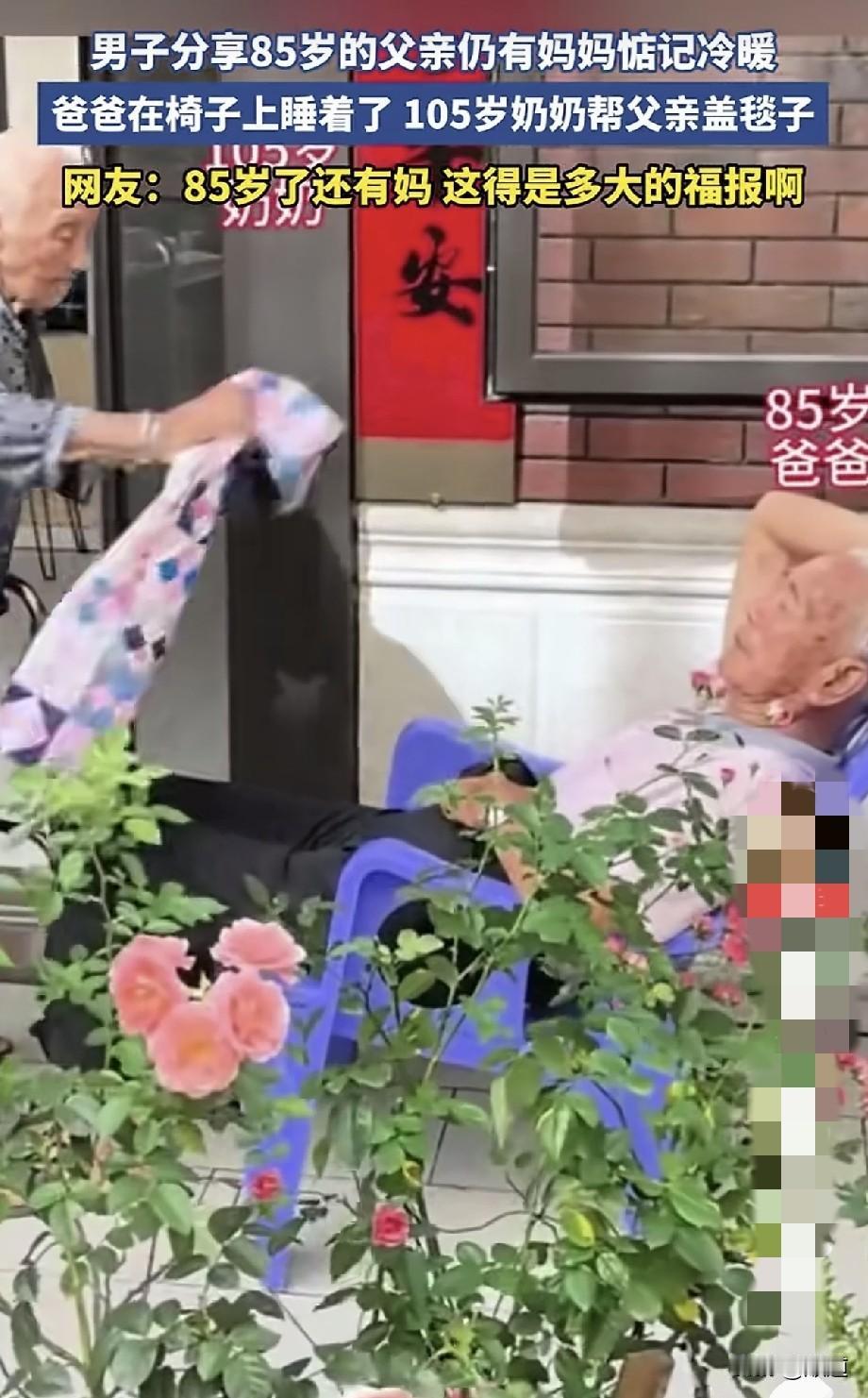 男子分享85岁父亲在门口坐椅上睡着了，105岁奶奶怕儿子着凉，给父亲盖上毯子。