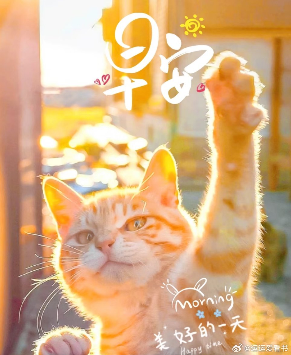 “ 身在井隅，心向星光，眼里有诗，自在远方。”正能量文案 ​​​