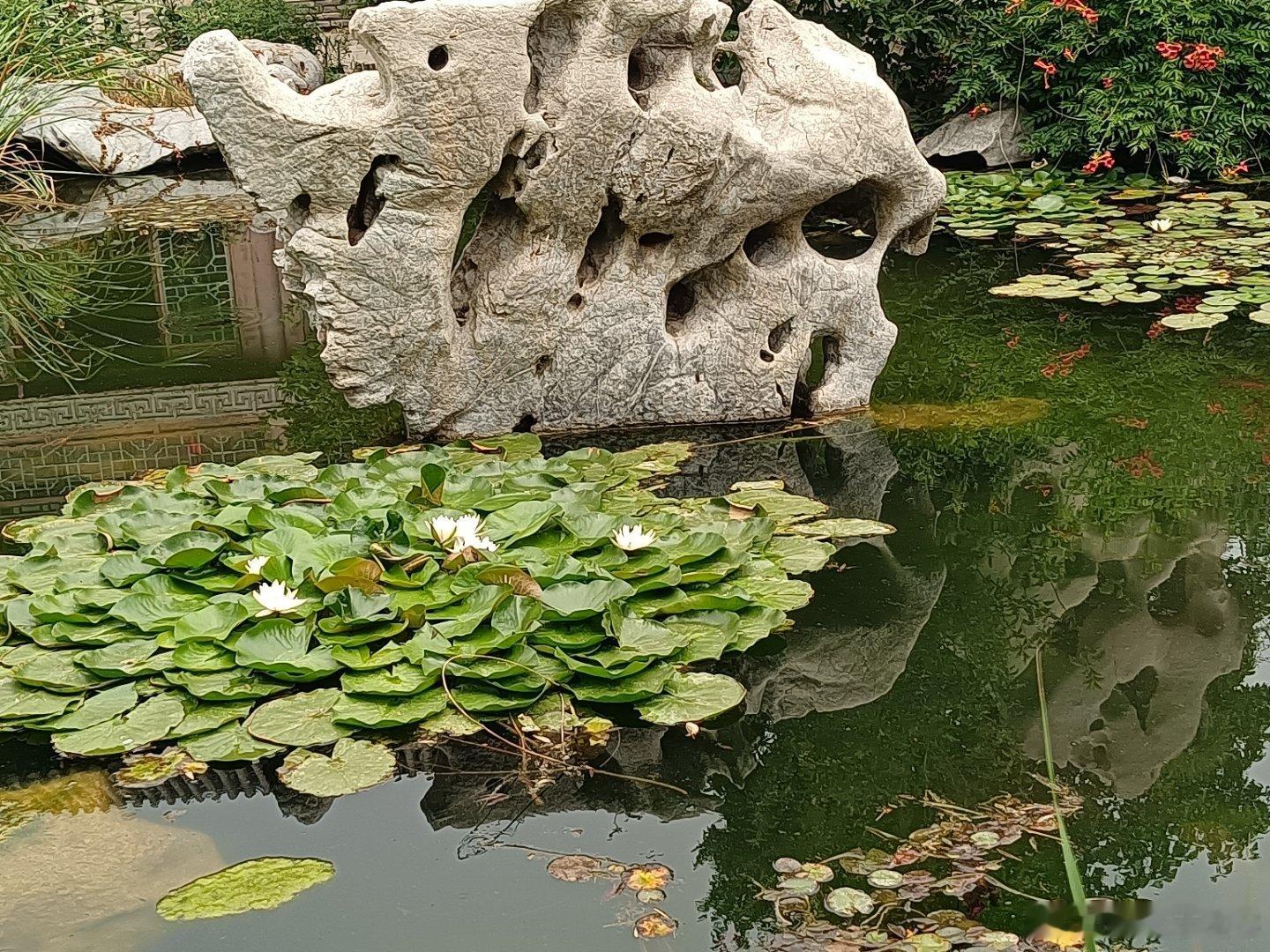 随手拍精彩世界绚丽多姿 