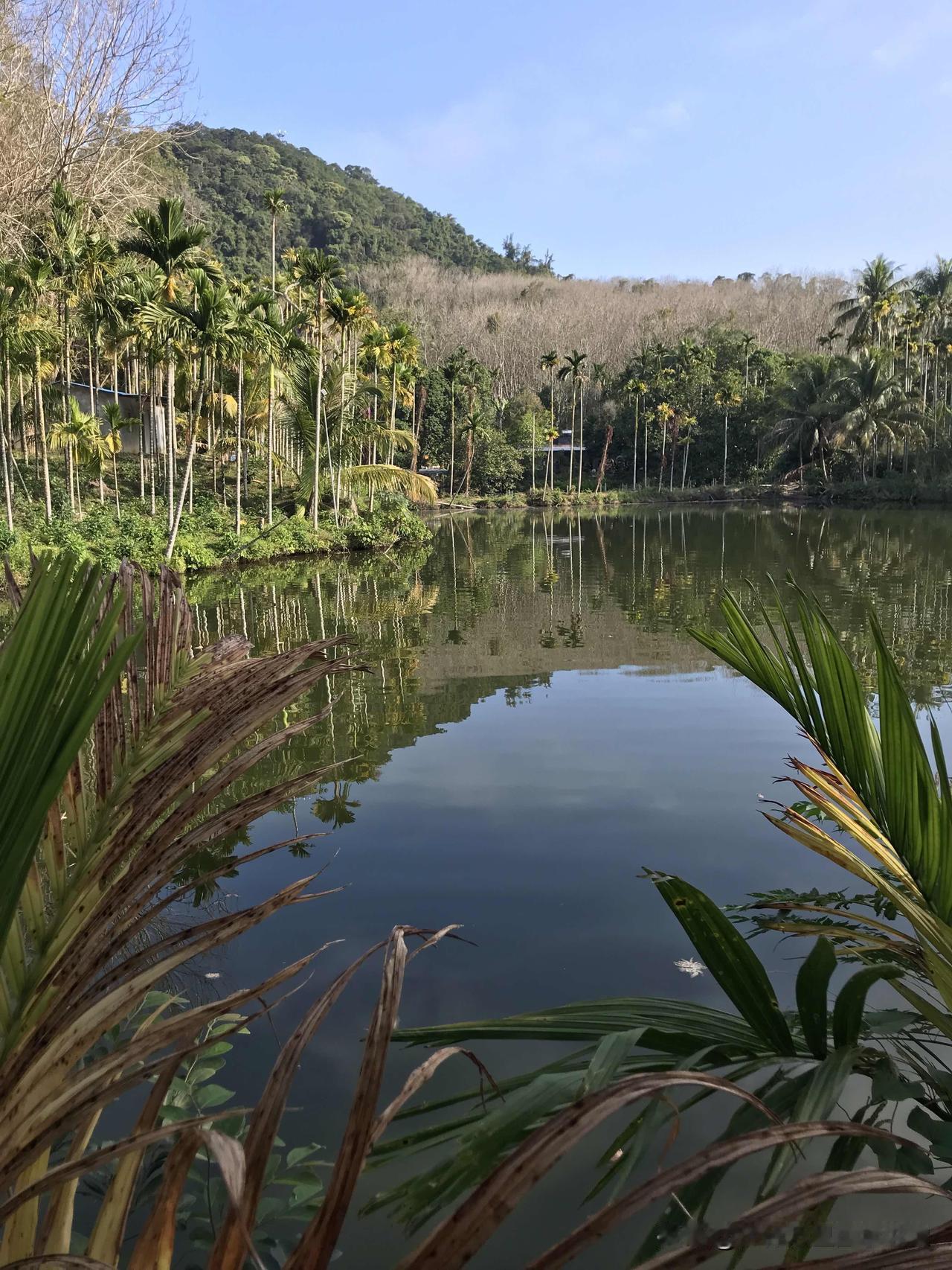 北京的春天行在这里，海南的景色依然最美，五一节快到了，你在哪里，经历天地沐浴，电