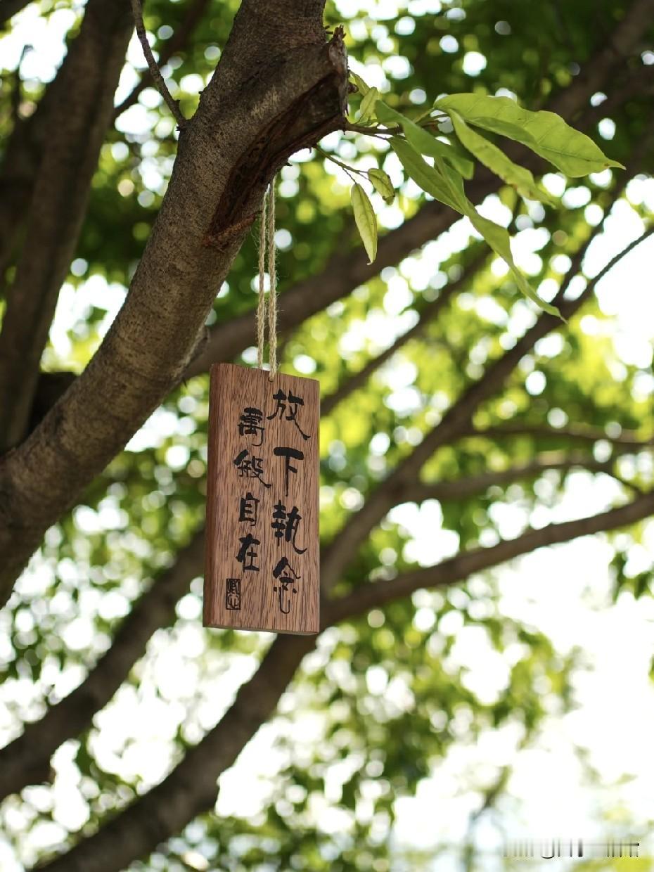 一个人最好的活法，就两个字：放下。

不是认输，不是逃避，更不是躺平。而是清醒地