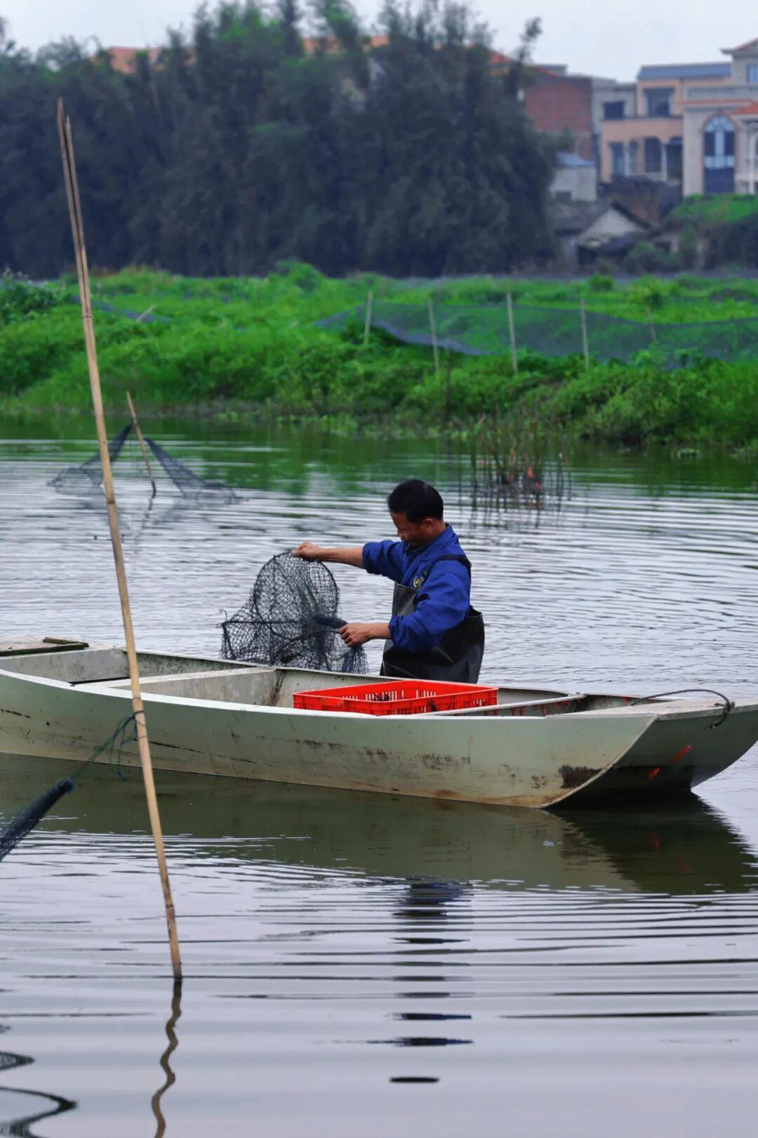 【贵港富硒小龙虾为何独得食客宠爱？】
贵港富硒小龙虾名扬全国，凭借富硒土壤（“中