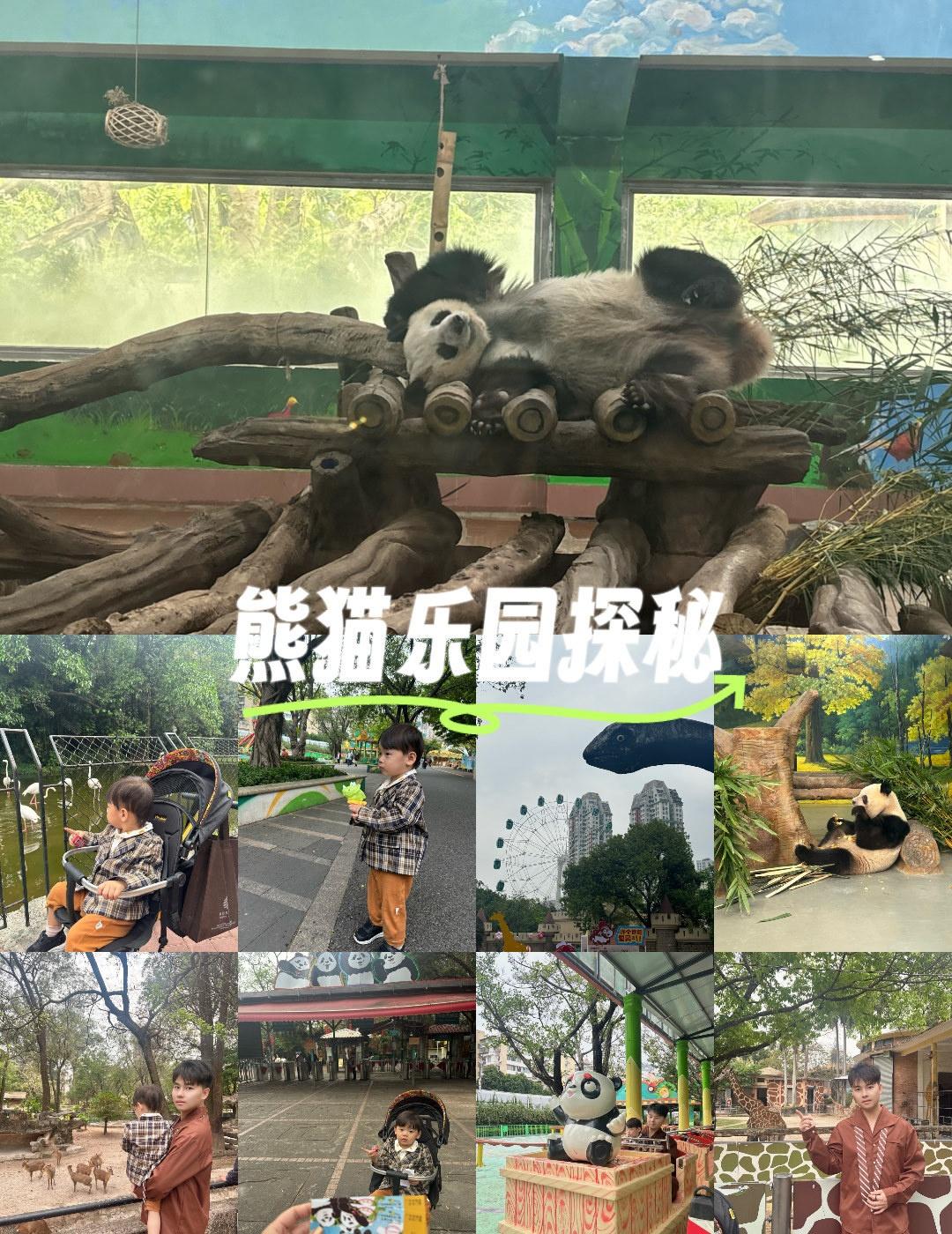 拥抱童趣的一天
📍广州 
广州动物园20元一个大人，逛到脚都酸了，里面有很多种