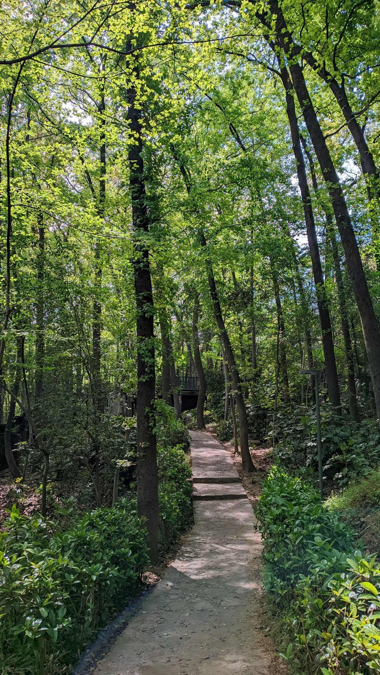没有收入的农村老人靠什么养老?
农村的老人，种庄稼就是他们的职业，他们一辈子都离