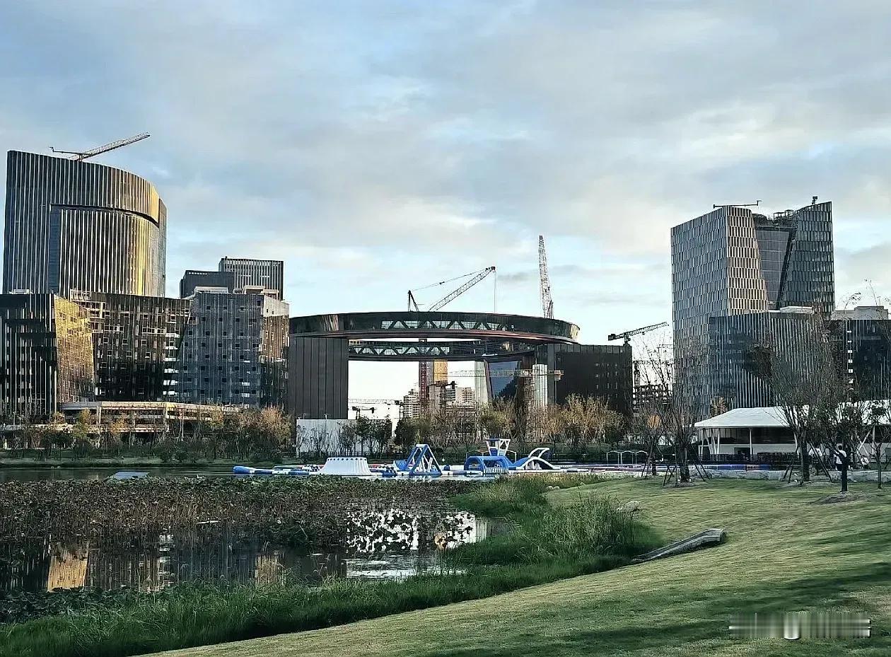 这种观点在一定程度上反映了部分人对临港新城的看法，但并不全面。临港新城作为上海的