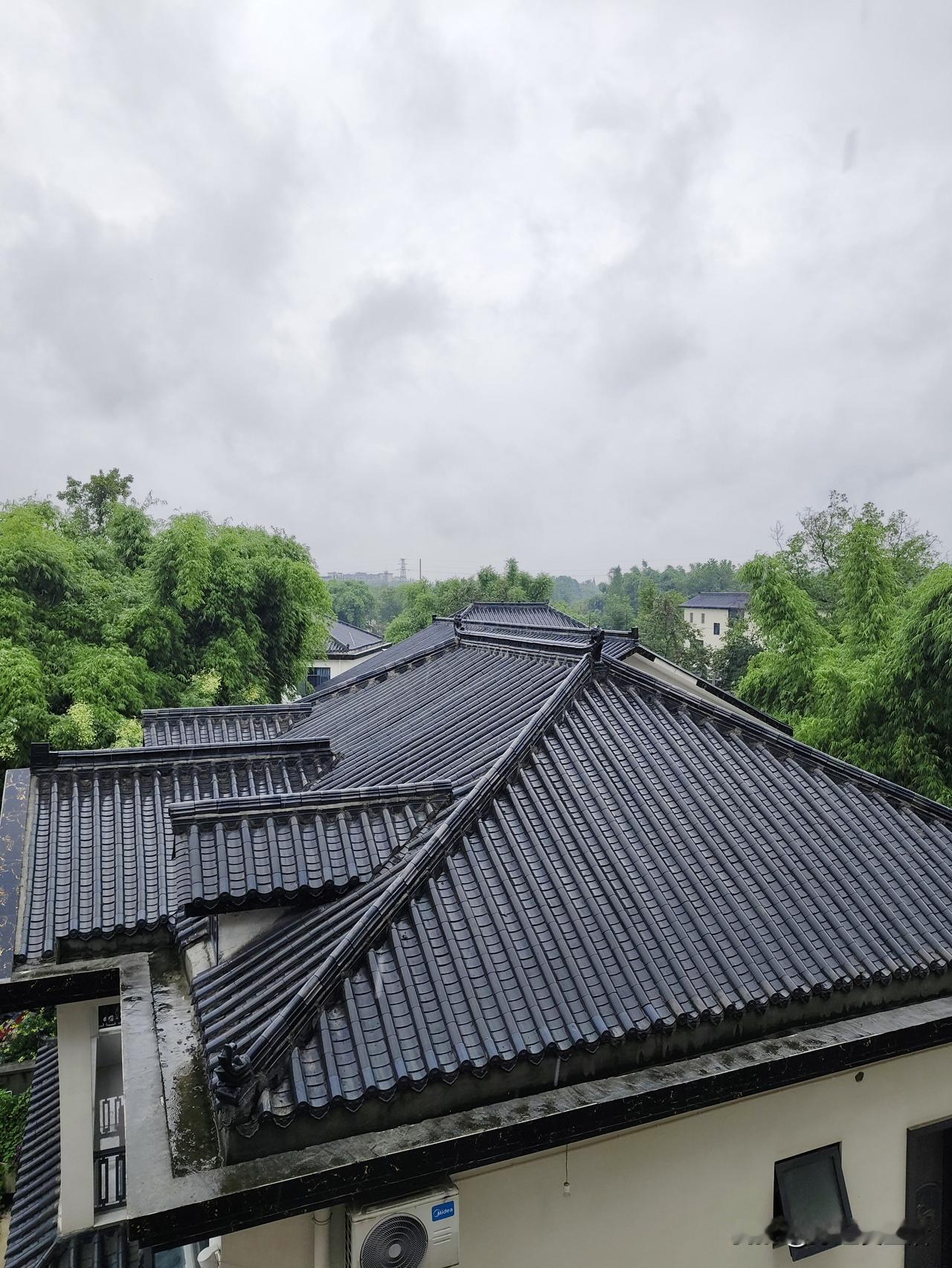 下雨天不出门，能做点什么呢？
成都已连续下了两天雨，风雨交加。我那盆头重脚轻的飘