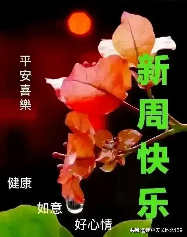 中午好友！新周愉快！
佳作精彩！文采斐然！
赏心悦目！才思敏捷！
[赞][赞][