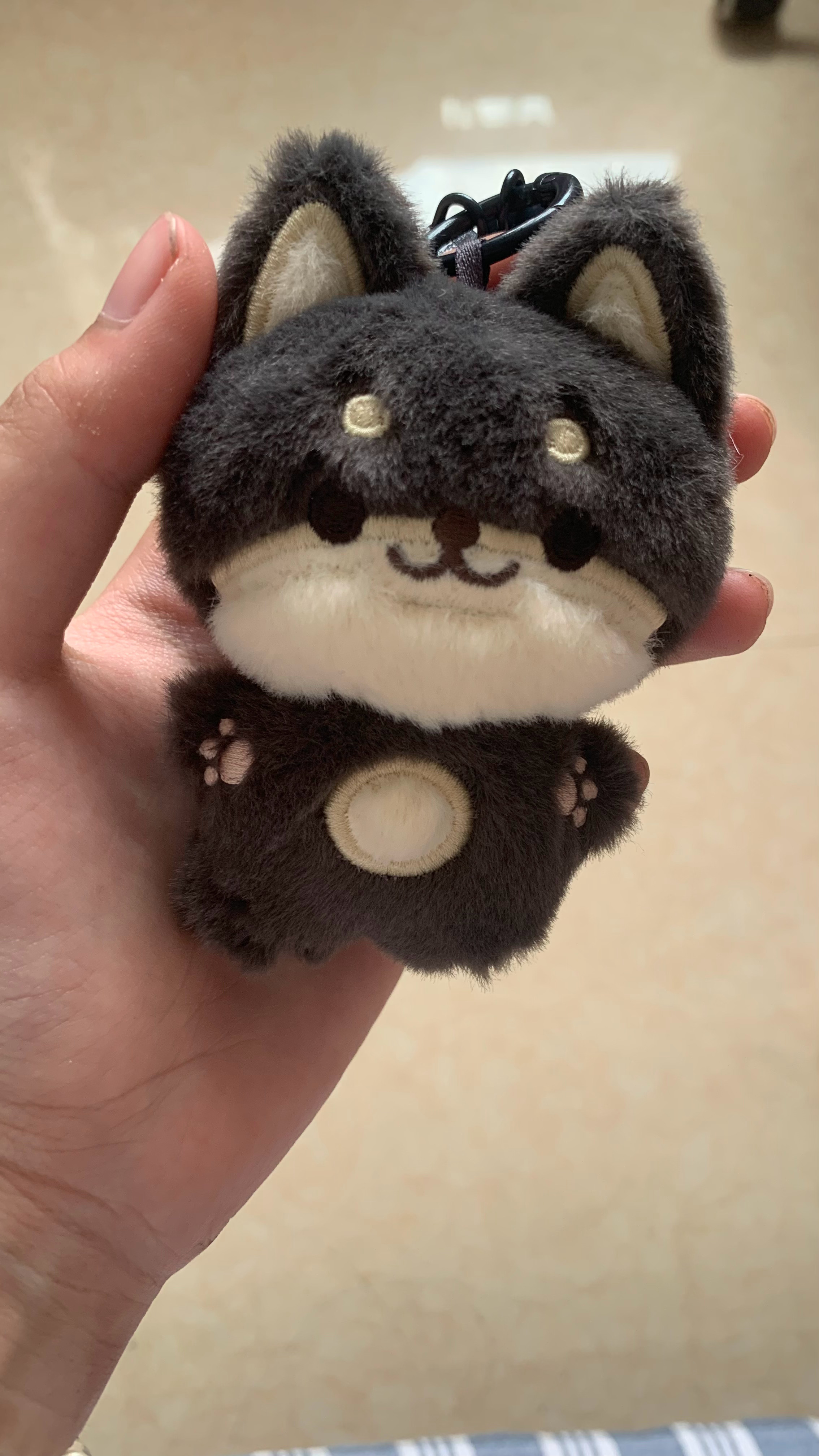 这啥。这咋rua 