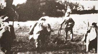 39军116师，排名第一的四野头等主力师，敢于抗命的传奇师长钟伟，抗美援朝突破临