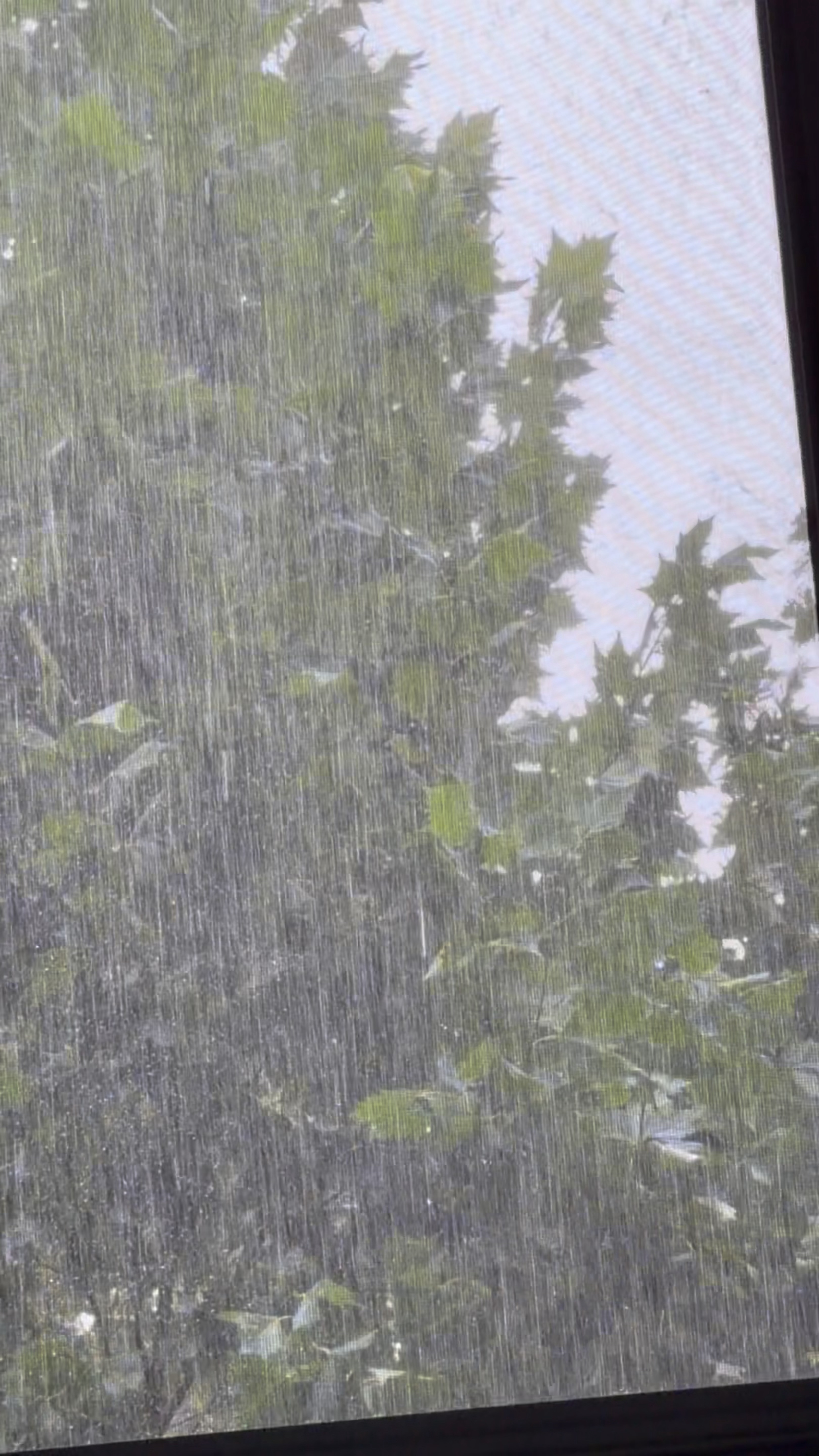 好大的雨 