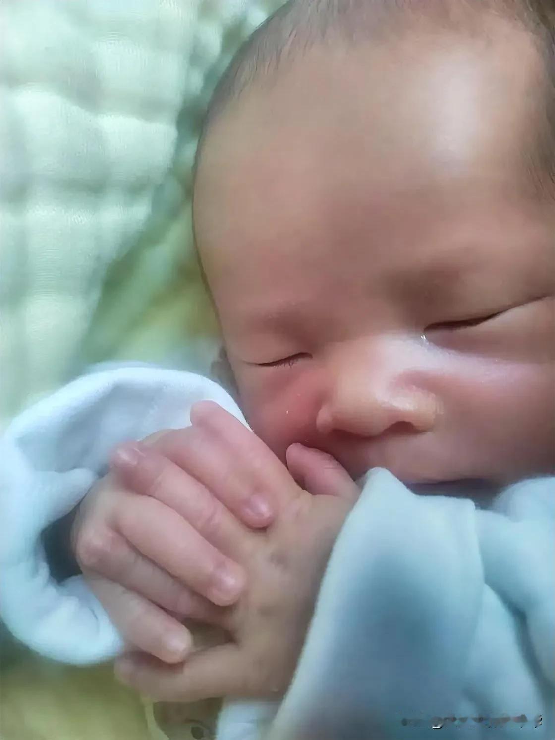 他可以身落何处，随遇而安，如水之上善，渗润每个角落，为渴望生命带去希望，也可以为