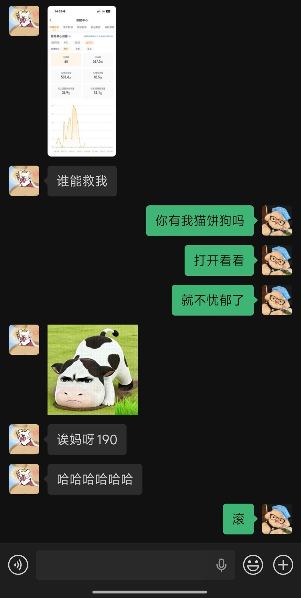 看完猫饼狗子就不忧郁了