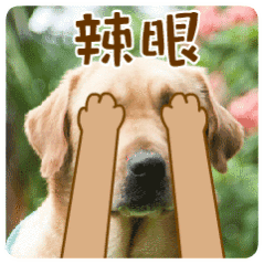 看了一小段翻跳、听了一小段翻唱，天啊，这些所谓的改编，吓得我不要不要的，《蒙娜丽