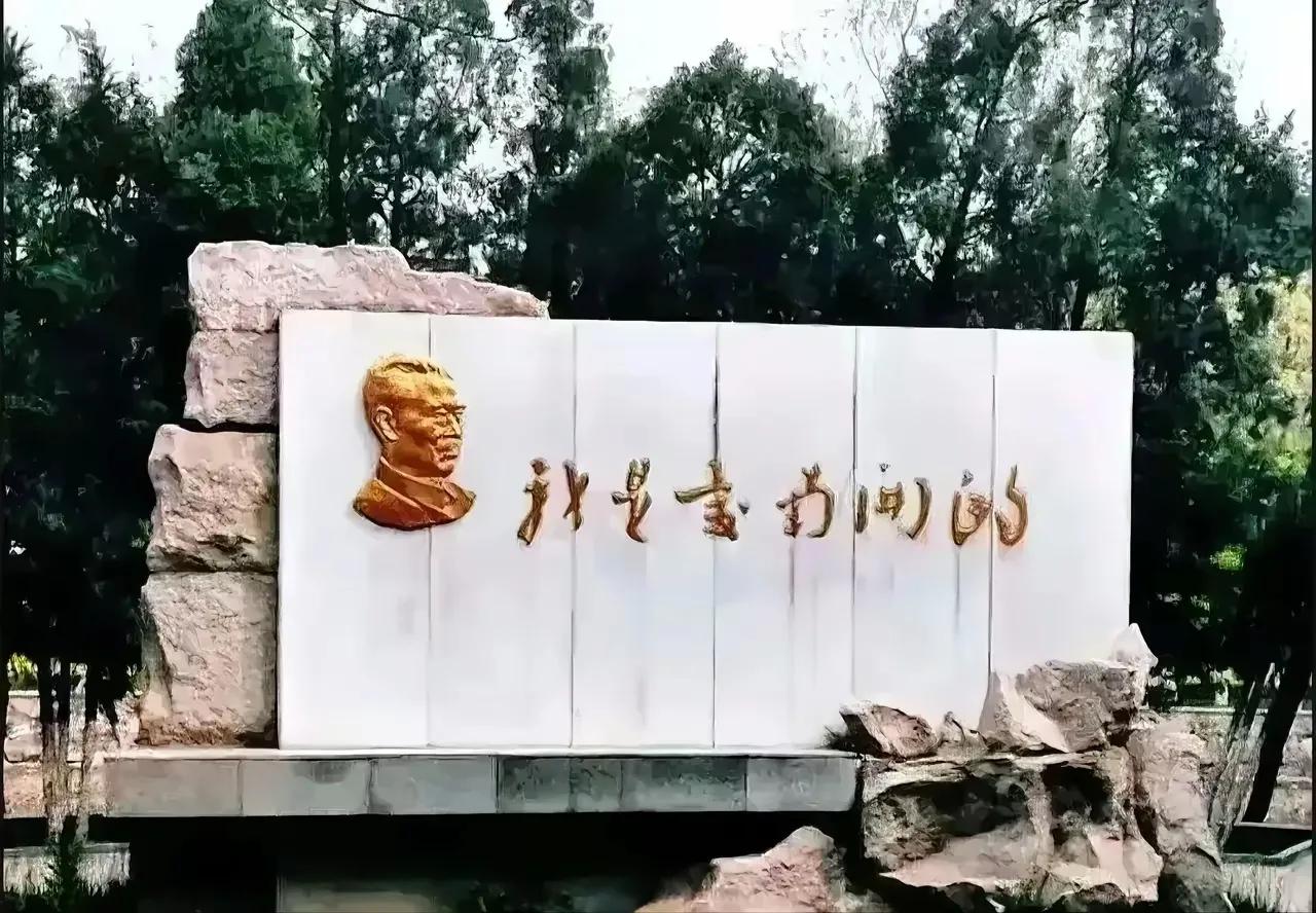 真是服了，10个人有9个人不认识石碑上的字，你认识吗？请写在评论区。

石碑上的