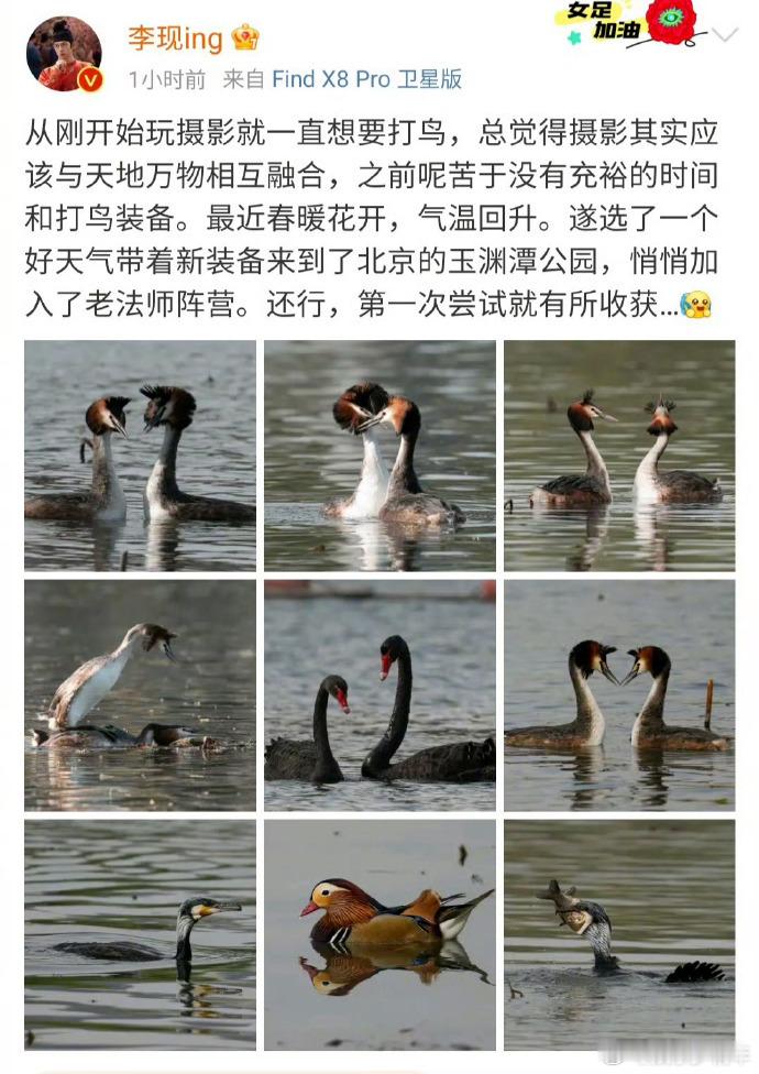 李现摄影互动引热议 2025 年 3 月 28 日，李现因摄影爱好上热搜，他微博