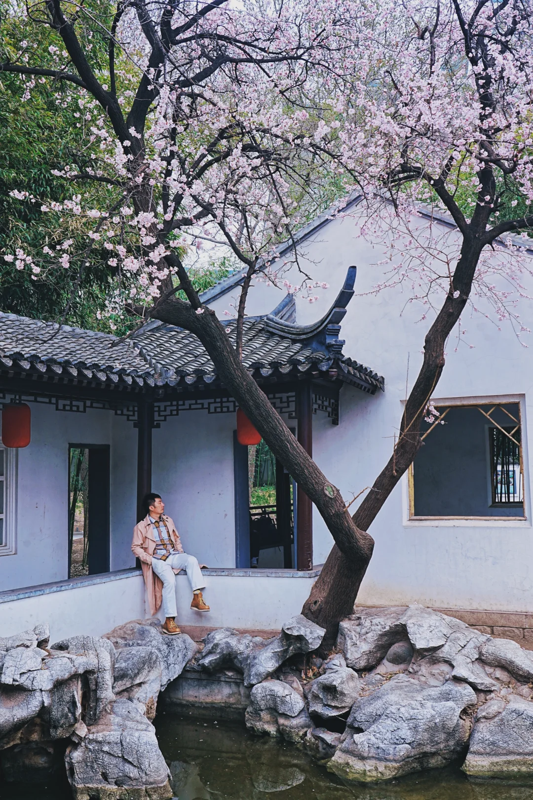 春不晚，我就在真江南。北京赏花千万别错过