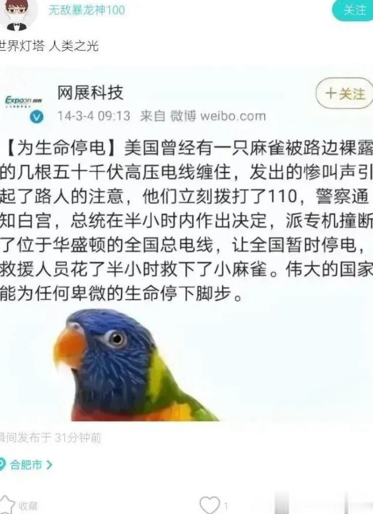 在美国你甚至可以打110报警救小鸟[doge] ​​​