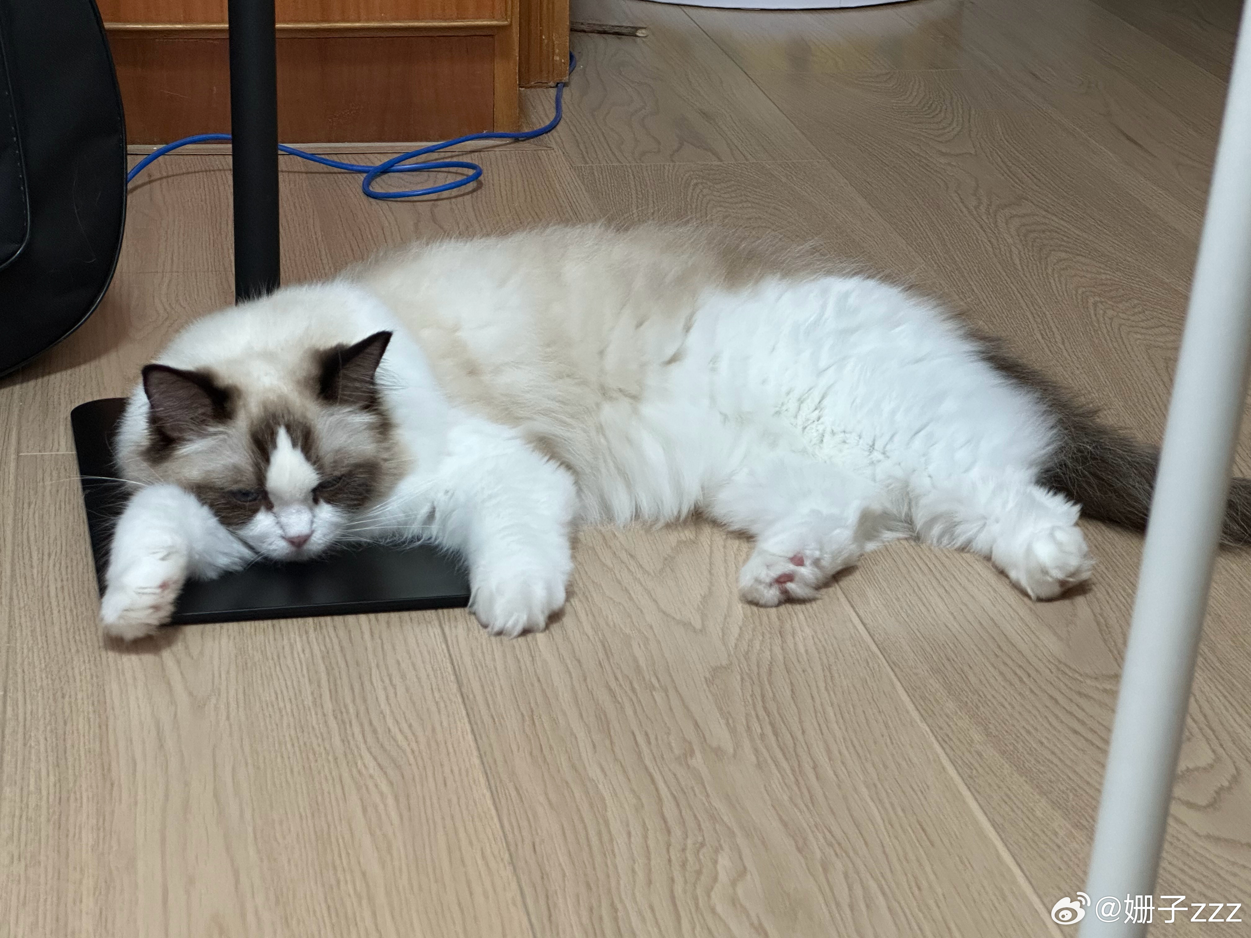 心情悠闲放松，画得更好 