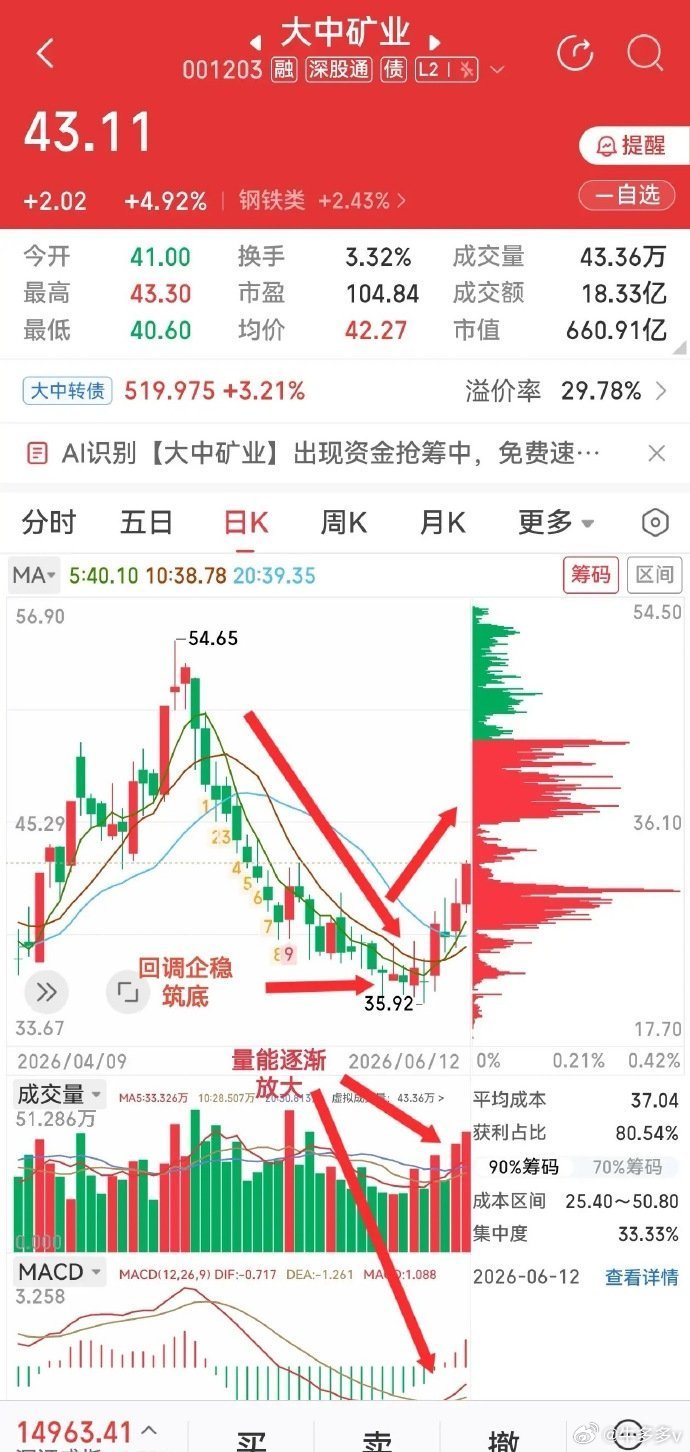 铁矿+锂矿双赛道布局，梳理大中矿业自身资源优势核心竞争力亮点1. 铁矿资源筑牢基