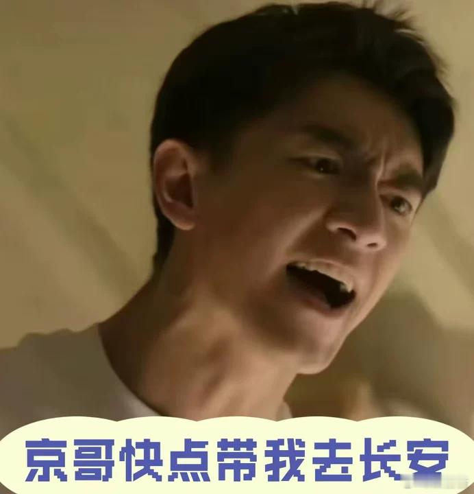 长安那么大吴京带我去看看《镖人》的打戏简直是武侠界的教科书！一招一式都遵循传统武