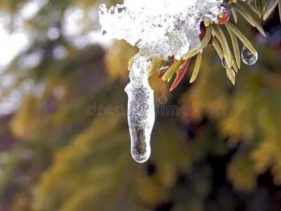 上联：化雪融冰，心花怒放馨天地；
下联：诗友请[玫瑰][玫瑰]
#诗与画对联小组