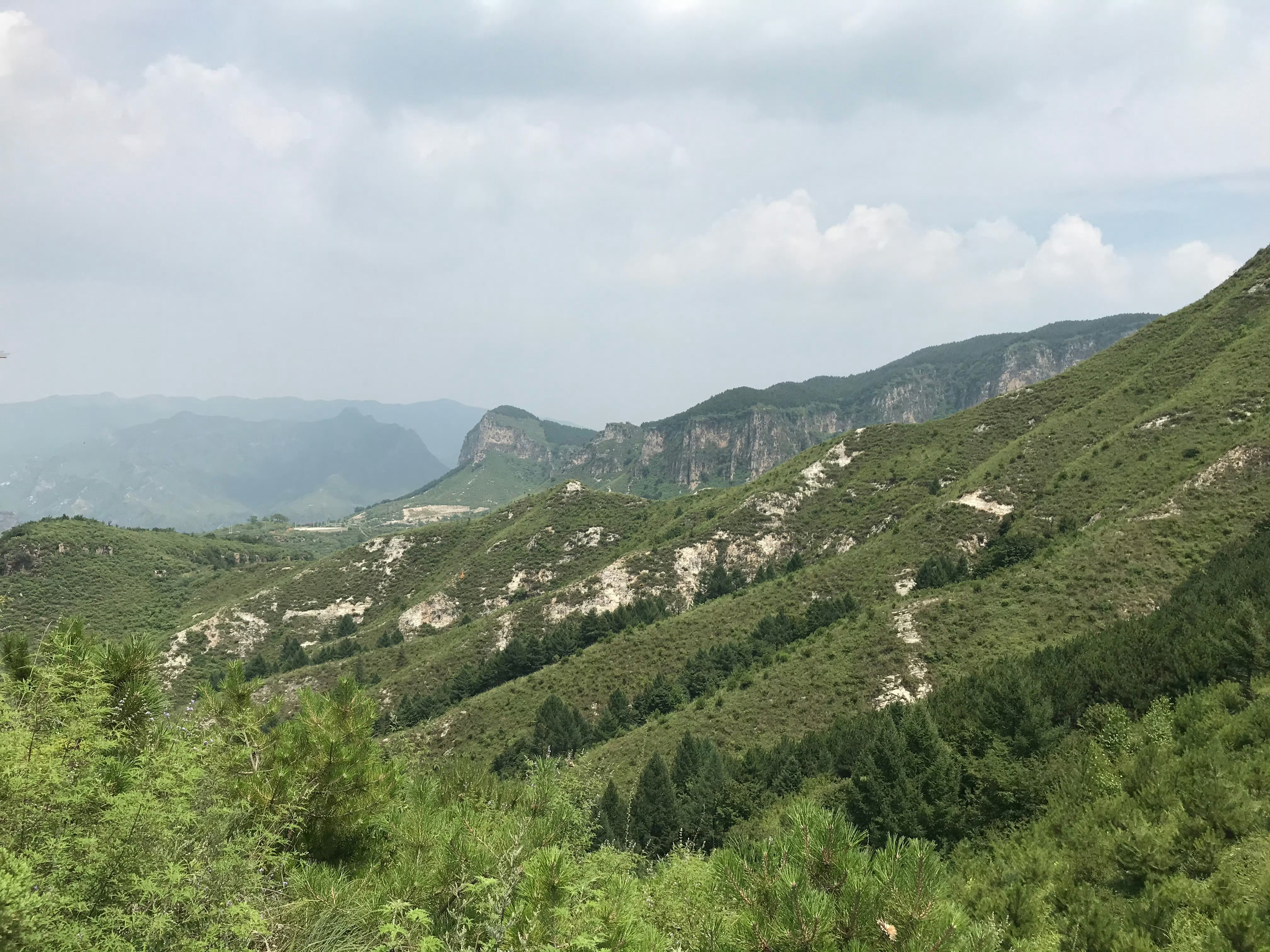 走走走，游游游，不学无术不发愁。逛逛逛，溜溜溜，江湖四海任我游。 