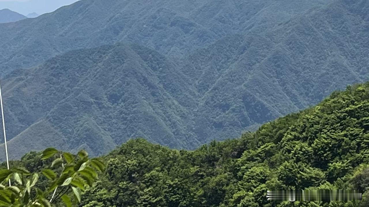 我认为不会
真人演员是不会被AI演员所取代的，真人给人的感觉比较真实，而AI演员