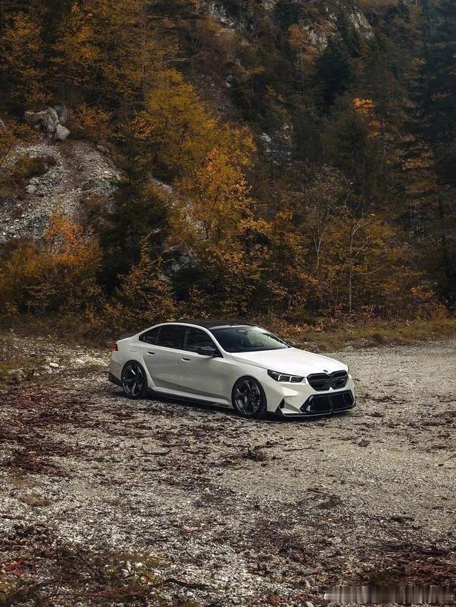 理讨，你最想要什么性能车？