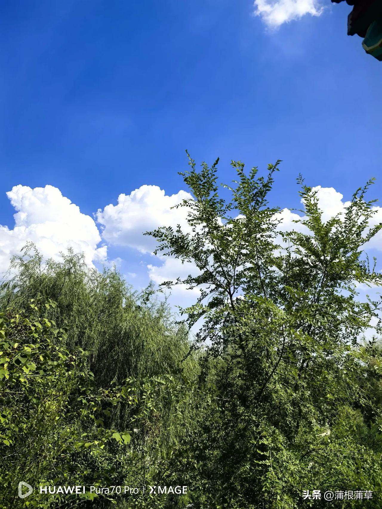 今天看到今日头条8月份低质账号8月份专项治理公告，在过去一个月的时间里，平台共封