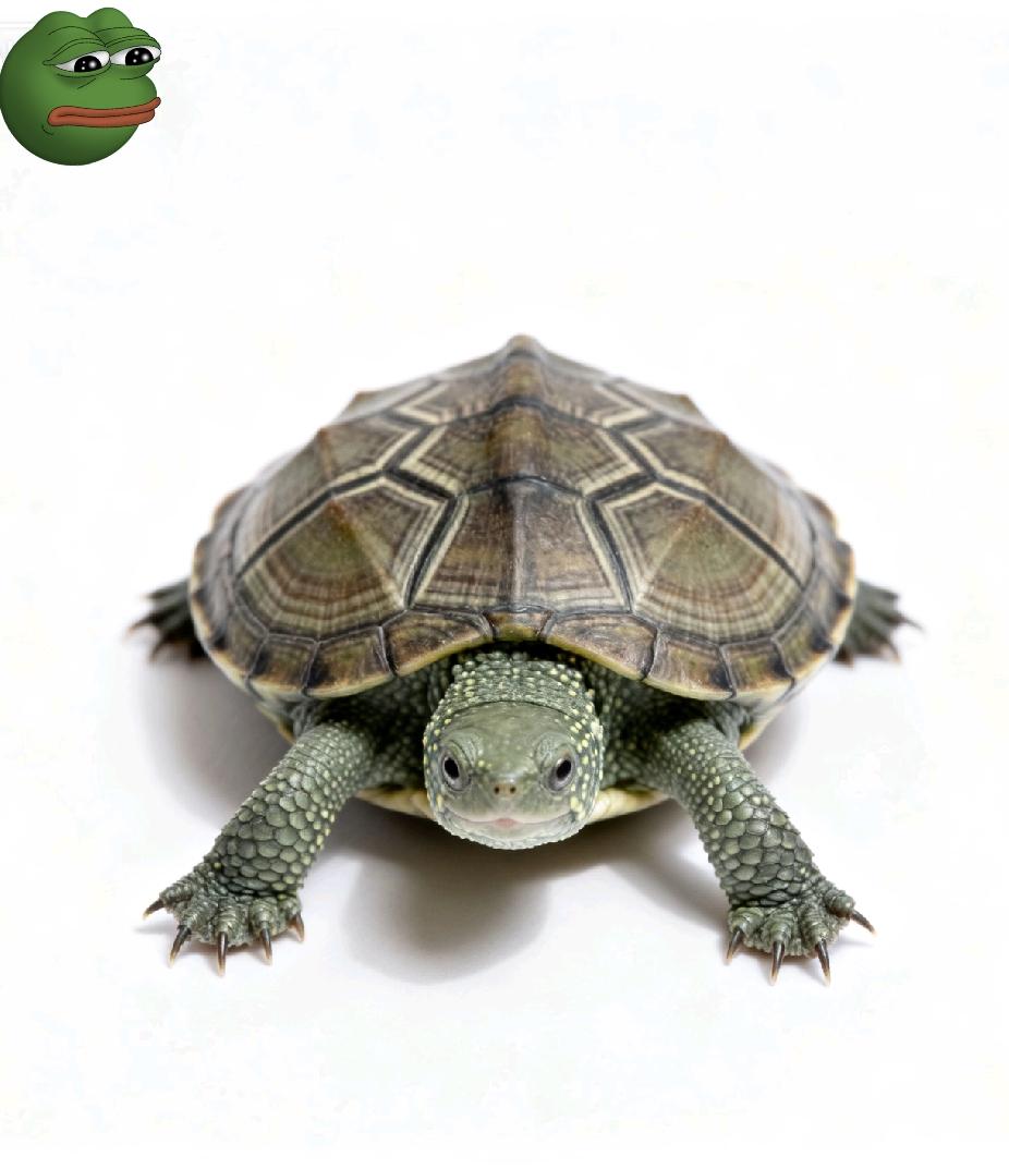 深圳湾口岸，两名女子本该从从容容过安检，结果却遮遮掩掩，一步一挪没有半分从容，海