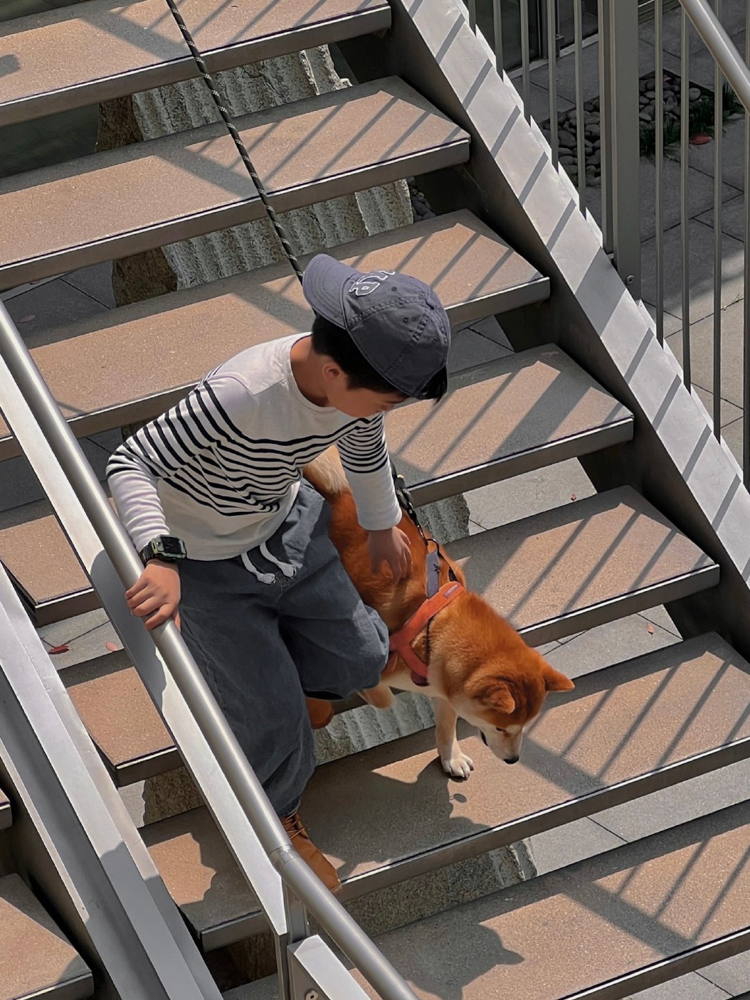 一个人生气蓬勃的时候决不问为什么生活，只是为生活而生活，为了生活是桩美妙的事而生