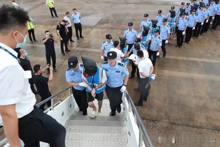 跨国追凶20个月：5次跨境取证、3.1万起案件，警方如何揭开“四大家族”真面目？