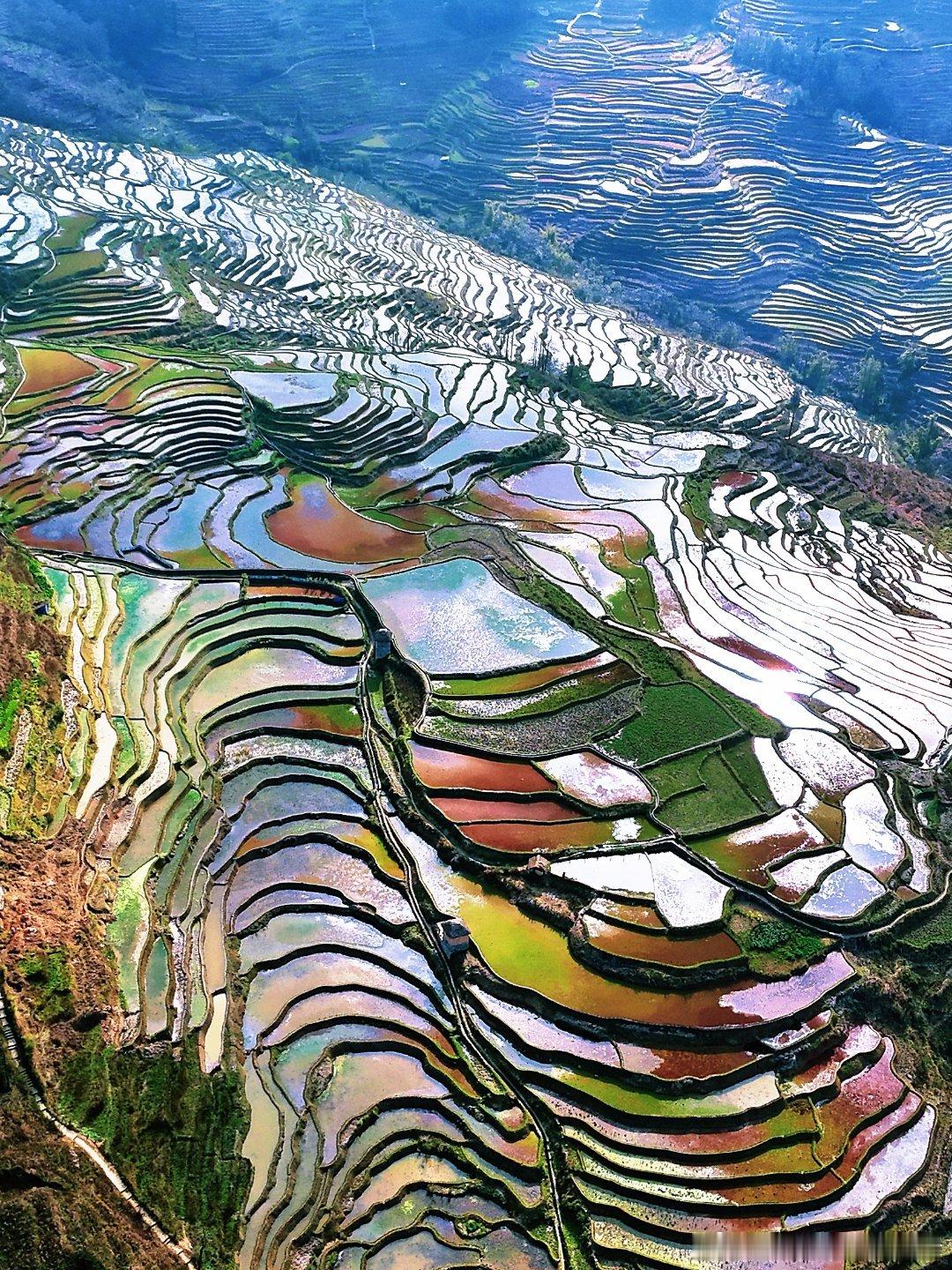 云南省委书记的邀请何以让416万人欣然赴约一次看似朴素的邀请，却让 416 万人