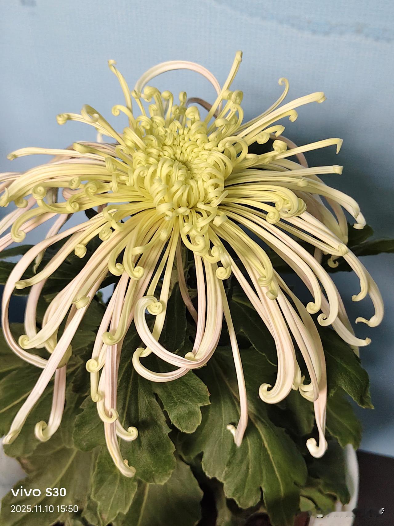 冬日生活打卡季