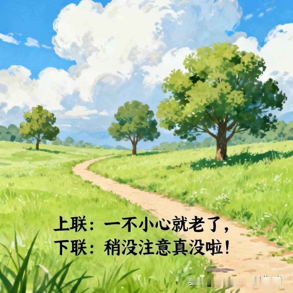 上联: 一不小心就老了，
下联: 稍没注意真没啦！