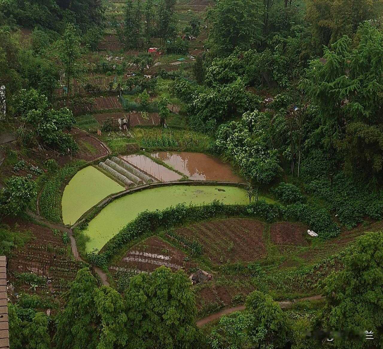 翻个身都能把自己压伤，我怎么这么难？

骨折的阴影还没散去，这几天旧痕又添新伤。