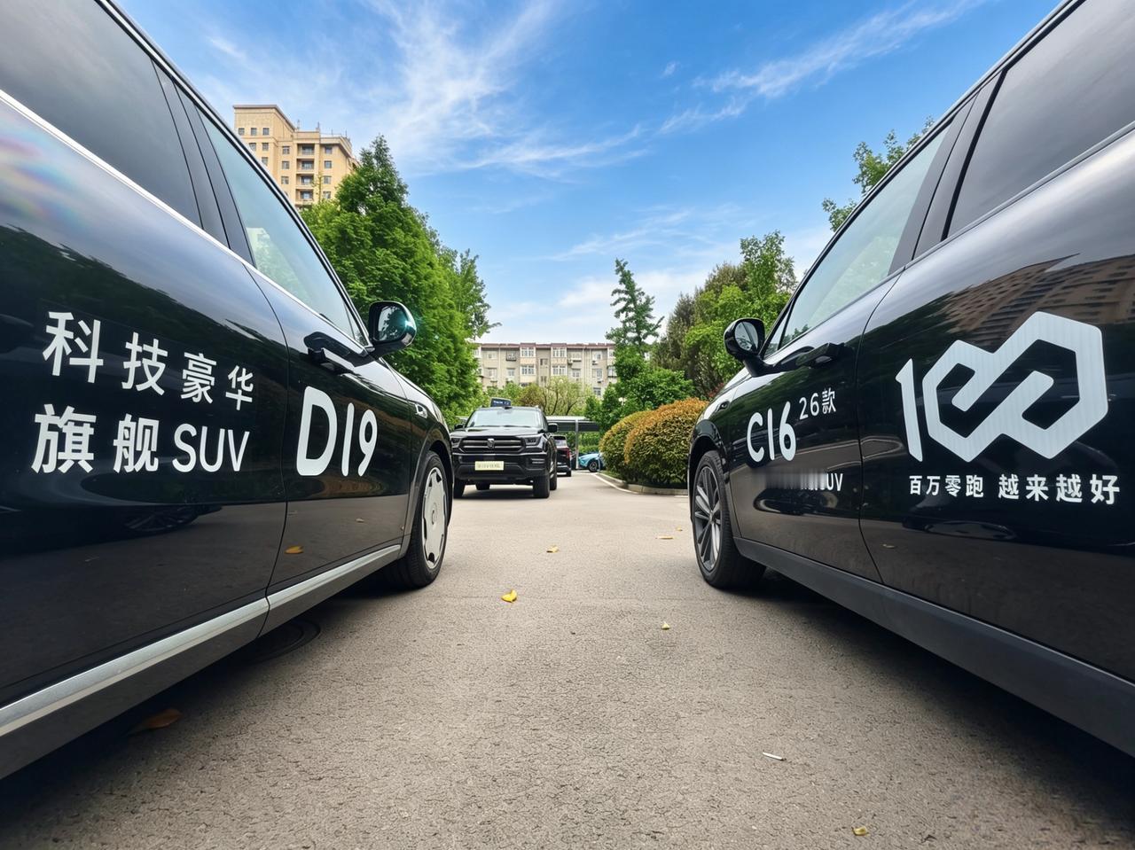 D19和C16，这两辆车，你会选择哪个？