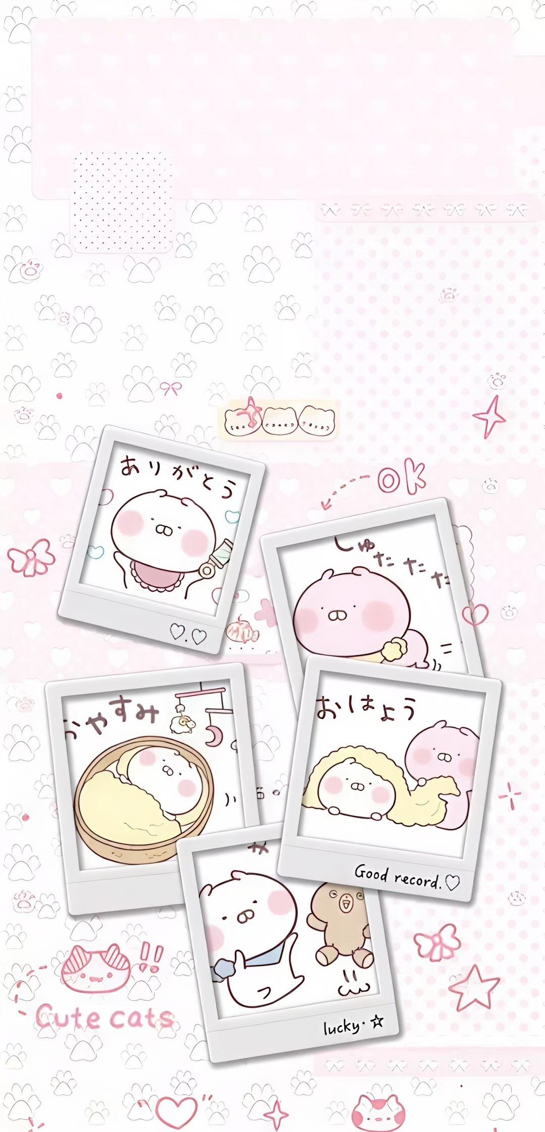 可爱丨高清丨无水印丨聊天背景图/壁纸៸៸᳐⦁⩊<៸៸᳐ ੭ﾞ🐾 