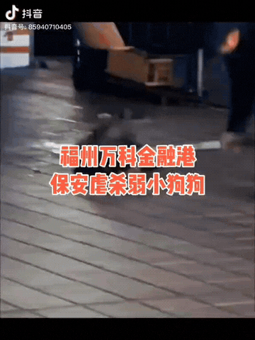 福州的万科金融港小区里，误入了一只小狗，小狗没有伤害任何人，但没想到一群保安围了