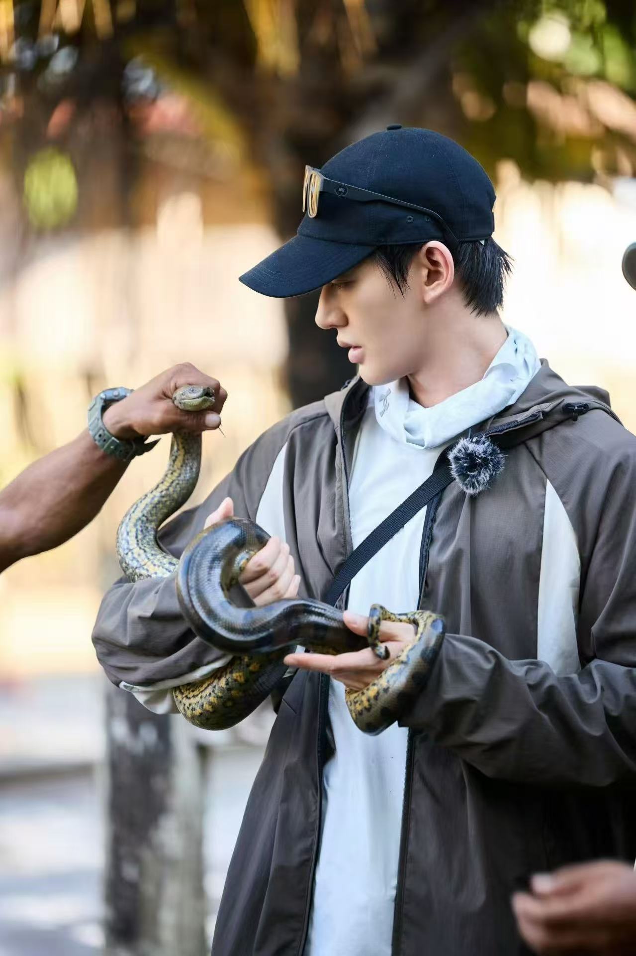 超话大赏邓为 花少8最后一站路透 邓为狼王与蛇🐍对视