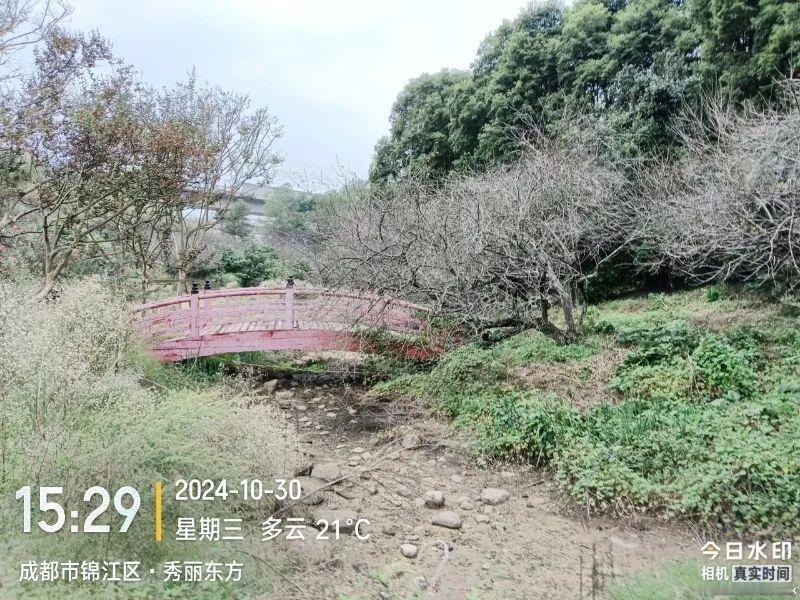 秀丽东方现状实拍……谁又能想到这片荒芜的草地，曾经拥有“全国五大梅园之一”，还被