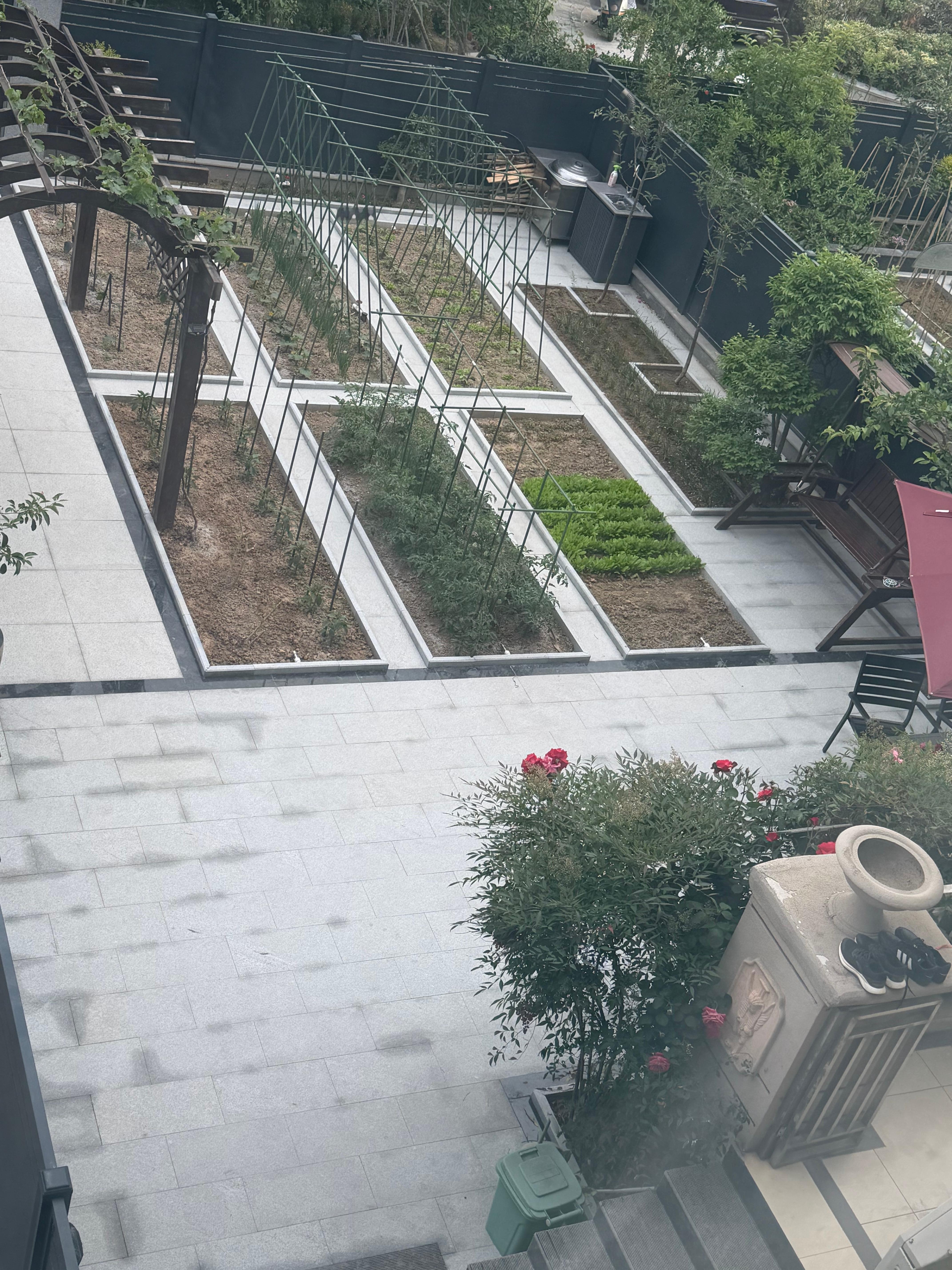 回商丘看看房子，没有人住真是荒凉。找到好多孩子上学时候的荣誉证书，这些年搬了好多