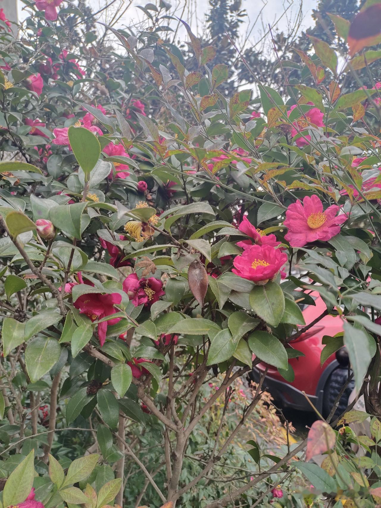 原来人活个70岁就不错了，现在人活八九十岁的人很多。

但是活八九十岁的人多数没