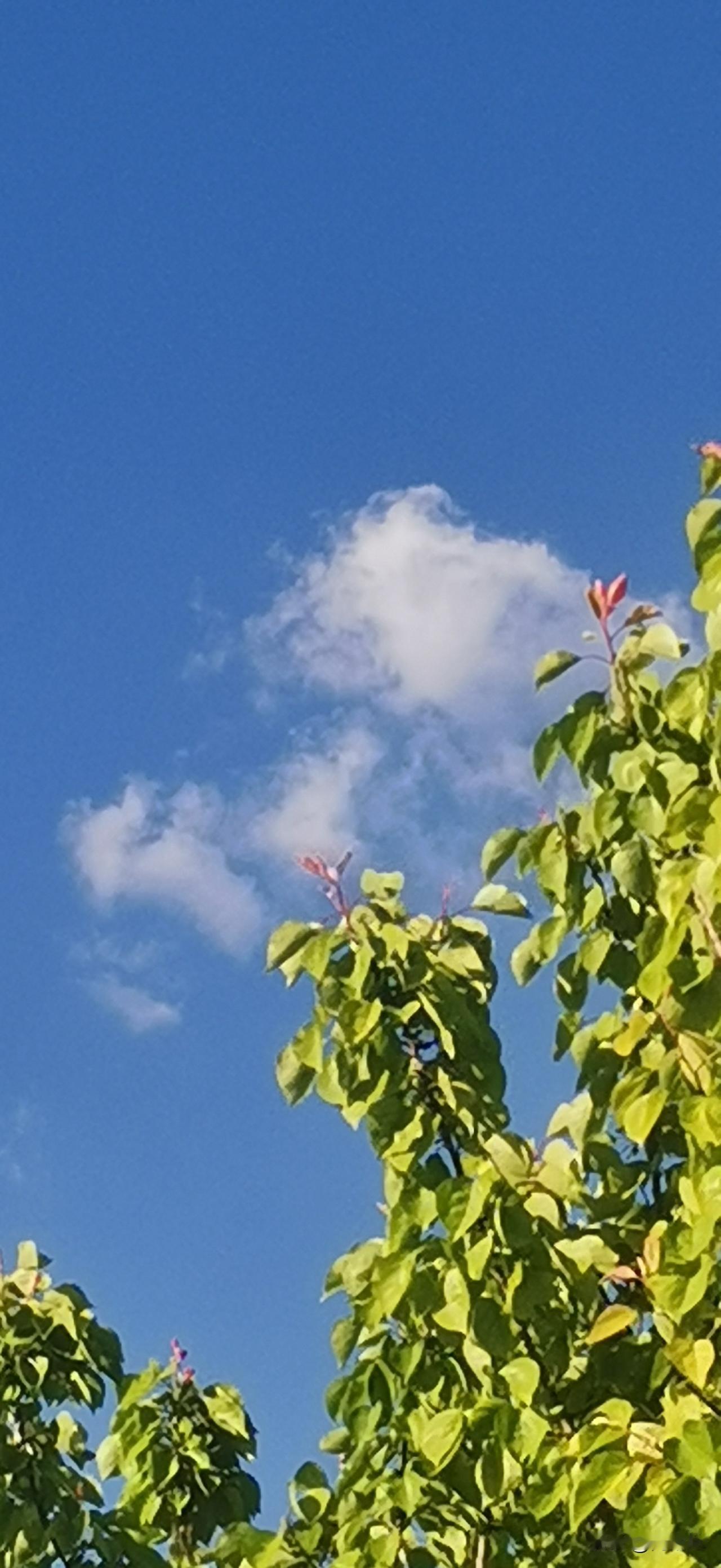 如今的时代步履匆匆，人人都在追赶速度，忙着赶路，忙着攀比，却忘了为何出发。我们被