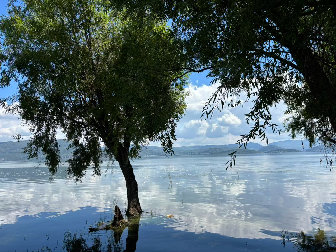 洱海，最好的季节来临了。  ​​​