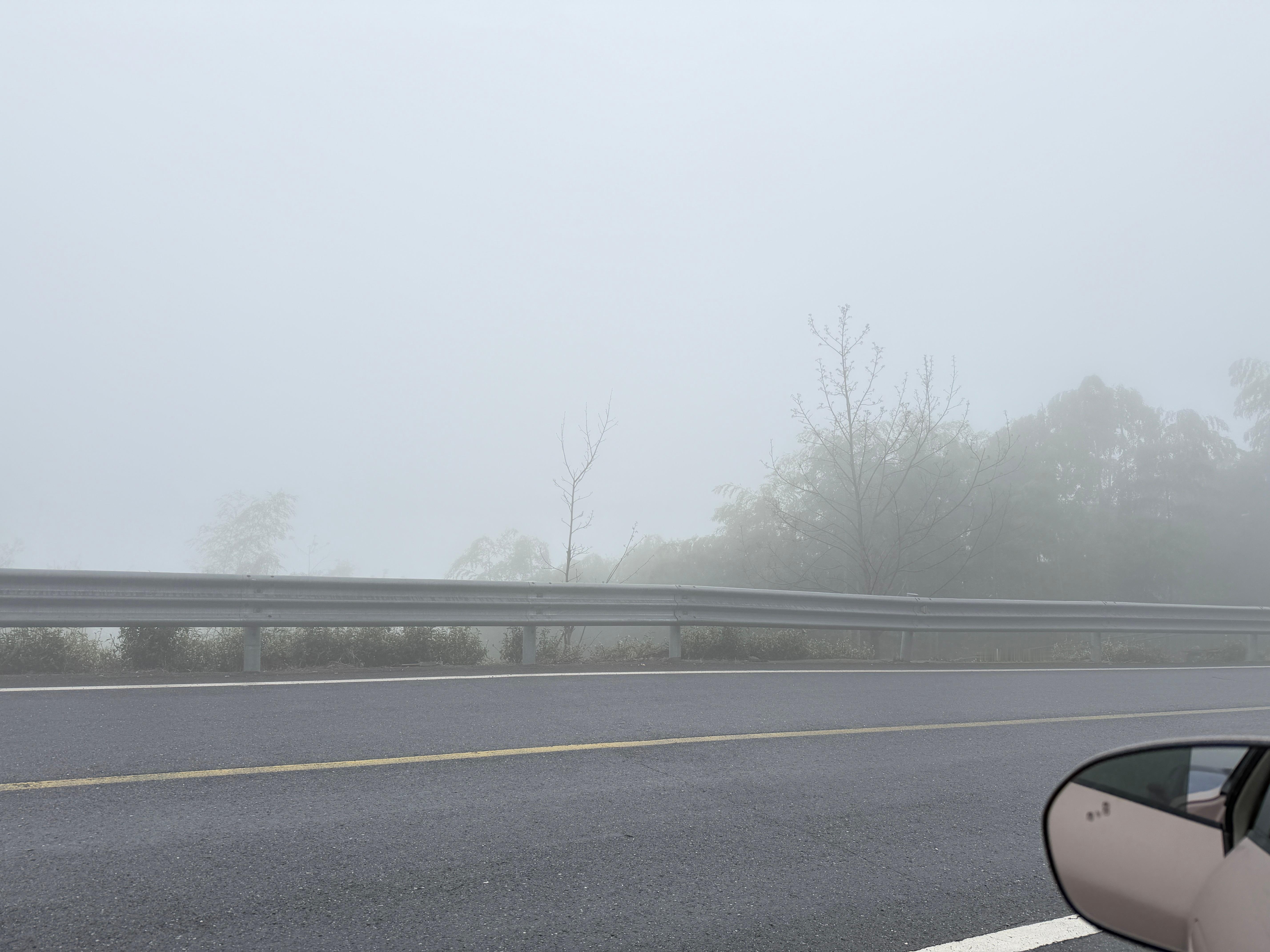 来当仙女了🧚♀️ 