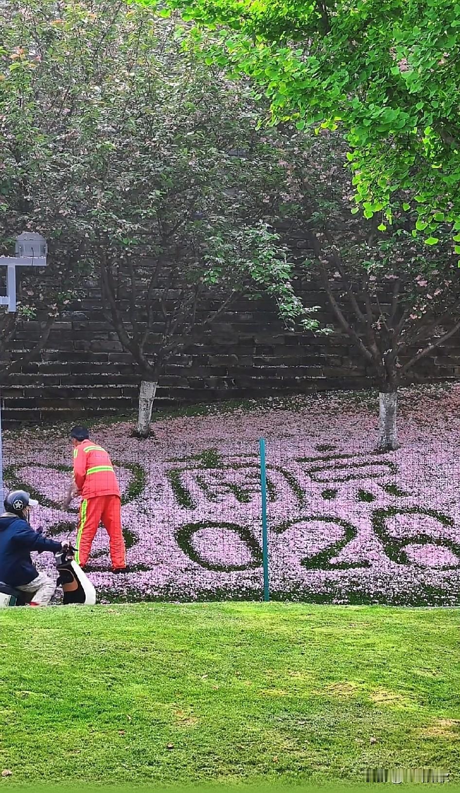 北京的环卫工人把刚开的玉兰花打掉，南京的环卫工人把落下的花做成花[赞]。有趣的灵