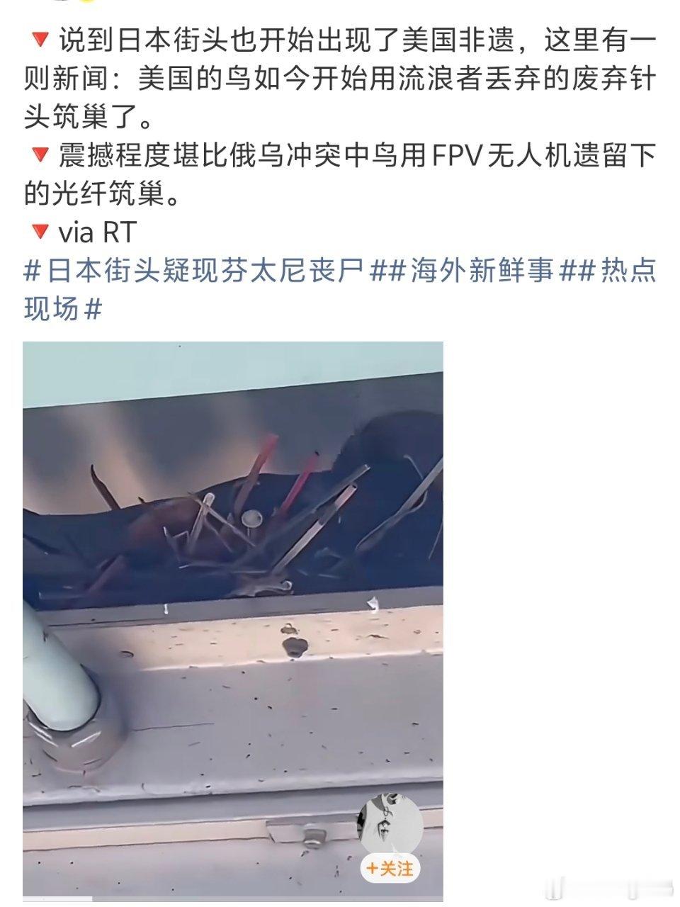 美国小鸟疑似用废弃针头筑巢鸽子会受残留的影响吗？估计它们也是觉得针头更坚固这好东
